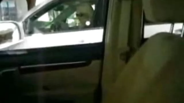 فیلم سگس گی برداری و استمناء