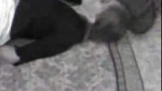 دختر نوجوان گسترش پاهای او را در مقابل گیف سکسی گی یک دختر سیاه و سفید