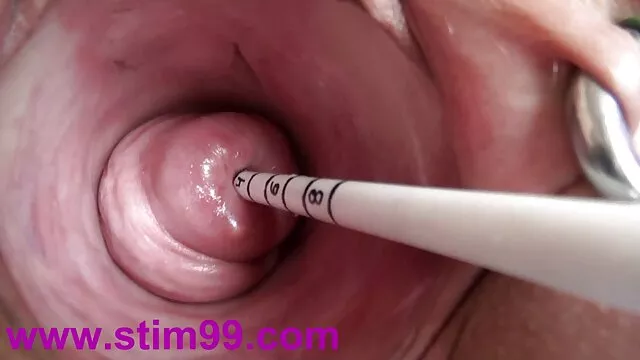 تامیلا را دوست دارد به مکیدن برنامه نویس فیلم سکس گی عربی بزرگ