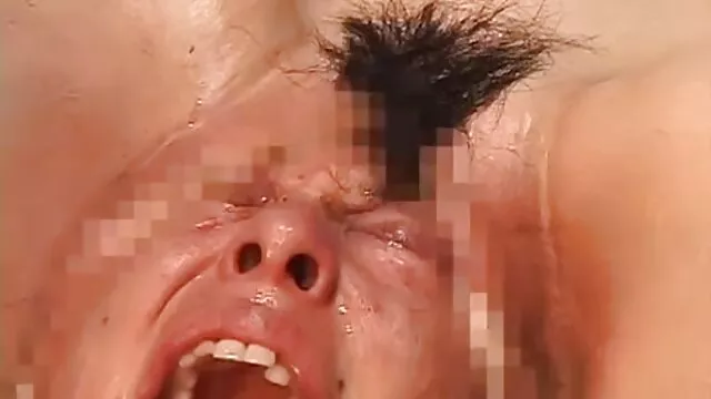 سگ استیکر سکسی گی ماده ورزش ها برخوردار دو نفوذ توسط فلفل سخت