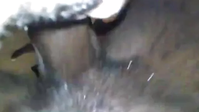 سینه کلان, داستانهاي سكسي گي سبزه, در یک پتو زرد